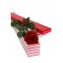 1 One Long Stem Premium Red Rose Presentation Box